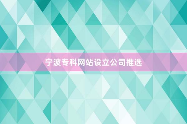 宁波专科网站设立公司推选