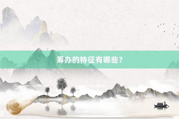 筹办的特征有哪些？